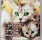 Магнитики. Лирические темы и пожелания