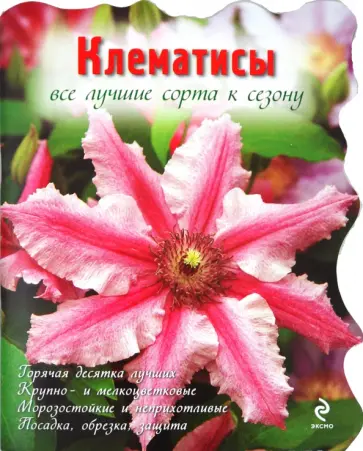 Юлия Попова - Клематисы обложка книги