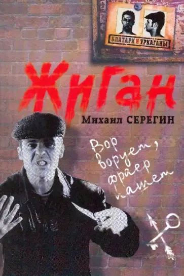 Михаил Серегин - Жиган обложка книги
