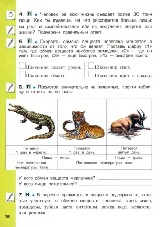 Какое влияние оказывает деятельность человека на природу