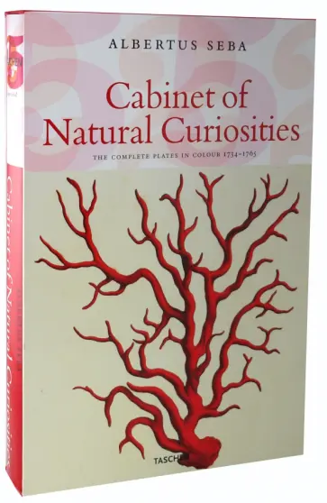 Musch, Rust - Cabinet of Natural Curiosities обложка книги