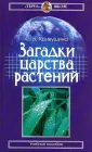 Кривушина Светлана