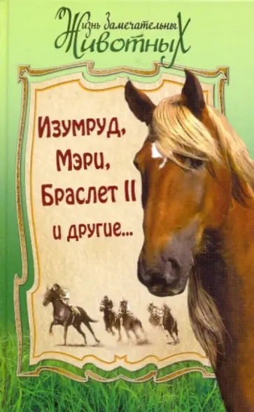 Куприн, Шмелев - Изумруд, Мэри, Браслет II и другие… Куприн, Шмелев - Изумруд, Мэри, Браслет II и другие… обложка книги