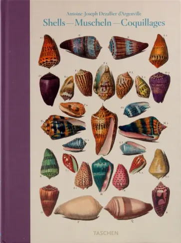 Carpita, Willmann - Shell - Muscheln - Coquillages Carpita, Willmann - Shell - Muscheln - Coquillages обложка книги