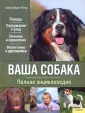 Шмидт-Регер Хайке