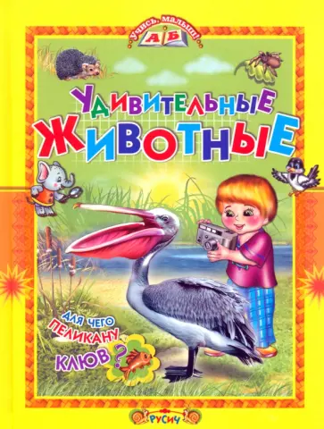Татьяна Комзалова - Удивительные животные Татьяна Комзалова - Удивительные животные обложка книги