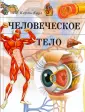 Каул Кирти