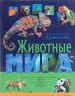 Миниатюра 1