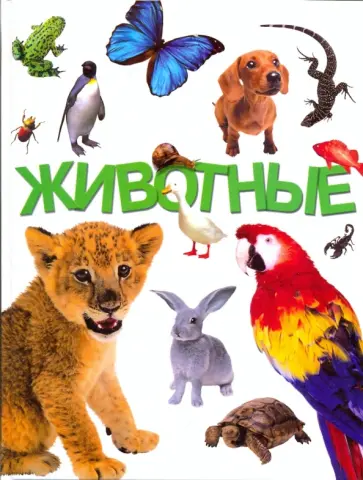 Игорь Павлинов - Животные обложка книги