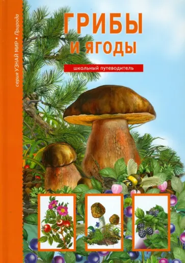 Сергей Афонькин - Грибы и ягоды обложка книги