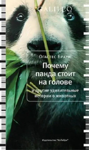 Огастес Браун - Почему панда стоит на голове Огастес Браун - Почему панда стоит на голове обложка книги