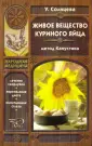 Солнцева Ульяна