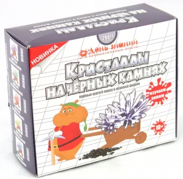 Кристаллизация. Кристаллы на черных камнях (28917) обложка книги