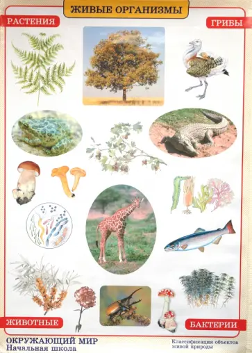 Плешаков, Яременко - Окружающий мир. Живые организмы. Природные зоны обложка книги