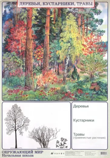 Плешаков, Яременко - Окружающий мир. Деревья, кустарники, травы. Природные зоны. Лесная зона (тайга) обложка книги