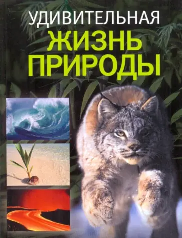 Альбуи, Дане - Удивительная жизнь природы Альбуи, Дане - Удивительная жизнь природы обложка книги