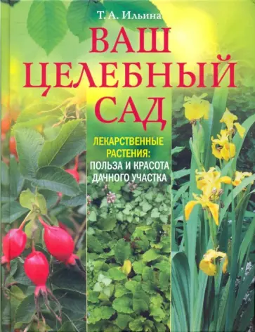 Татьяна Ильина - Ваш целебный сад. Лекарственные растения: польза и красота дачного участка обложка книги