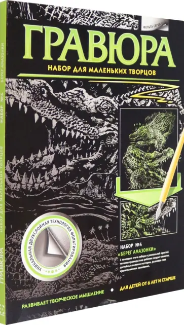 Гравюра №4. Берег Амазонки обложка книги