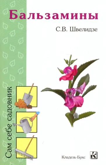 Светлана Швелидзе - Бальзамины обложка книги