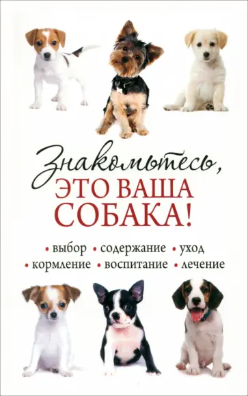 Знакомьтесь, это ваша собака! Знакомьтесь, это ваша собака! обложка книги