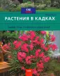 Ланге Петер