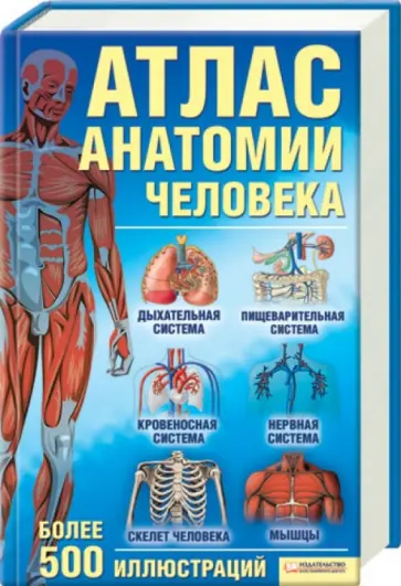 Галина Голубкова - Атлас анатомии человека обложка книги