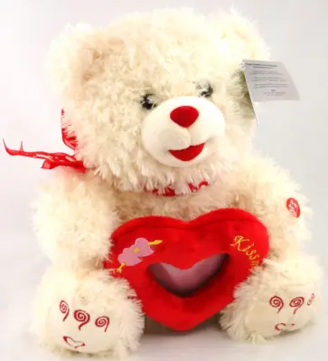 Мишка с рамкой (4983BM) обложка книги