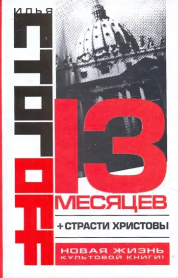 Илья Стогов - 13 месяцев обложка книги
