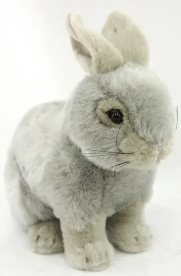 Заяц (87517) обложка книги