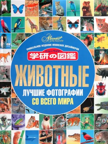 Животные. Лучшие фотографии со всего мира Животные. Лучшие фотографии со всего мира обложка книги