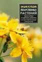 Энциклопедия