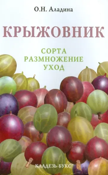 Ольга Аладина - Крыжовник Ольга Аладина - Крыжовник обложка книги
