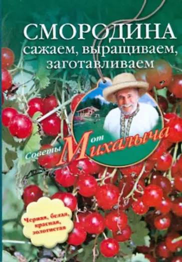 Николай Звонарев - Смородина. Сажаем, выращиваем, заготавливаем обложка книги