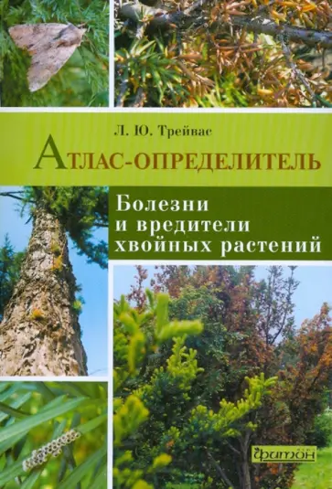 Любовь Трейвас - Болезни и вредители хвойных растений Любовь Трейвас - Болезни и вредители хвойных растений обложка книги