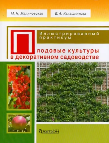 Калашникова, Калашникова - Плодовые культуры в декоративном садоводстве. Иллюстрированный практикум Калашникова, Калашникова - Плодовые культуры в декоративном садоводстве. Иллюстрированный практикум обложка книги