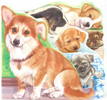 Ринат Курмашев - Собака и щенята обложка книги