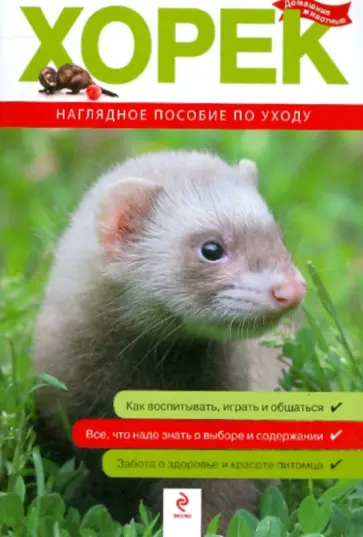 Ксения Митителло - Хорек. Все о покупке, уходе и содержании обложка книги