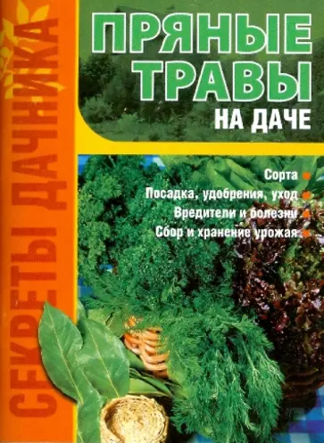 Игорь Демин - Пряные травы на даче Игорь Демин - Пряные травы на даче обложка книги