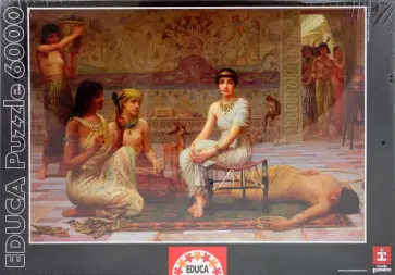 Пазл-6000 "Тщетные усилия любви" (14453) обложка книги