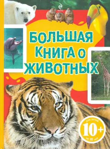 Джудичи, Каневаро - Большая книга о  животных обложка книги
