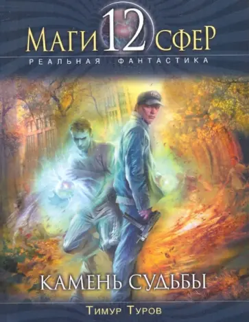 Тимур Туров - Камень судьбы обложка книги