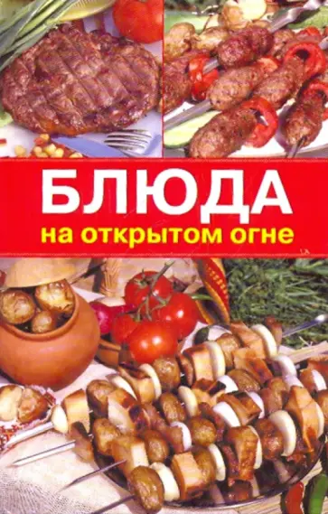 Ирина Румянцева - Блюда на открытом огне Ирина Румянцева - Блюда на открытом огне обложка книги