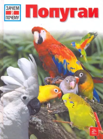 Петра Даймер-Шютте - Попугаи обложка книги