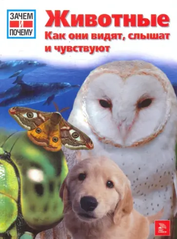 Витус Дрешер - Животные. Как они видят, слышат и чувствуют обложка книги