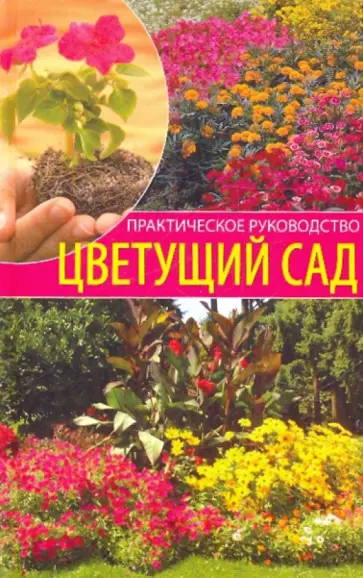 Наталия Алешина - Цветущий сад обложка книги