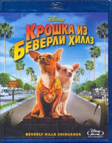 Раджа Госнелл - Крошка из Беверли Хиллз (Blu-Ray) обложка книги