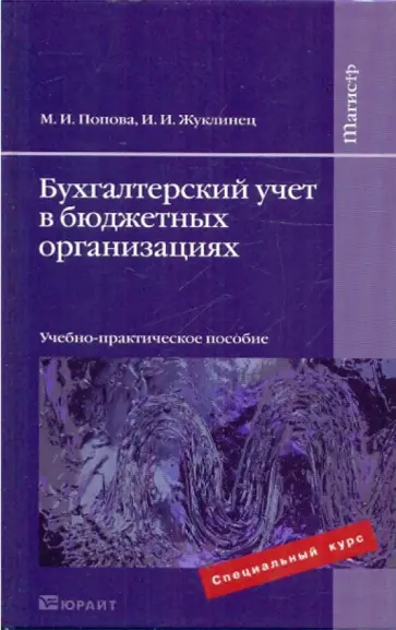 Попова, Жуклинец - Бухгалтерский учет в бюджетных организациях обложка книги