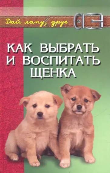 Любовь Самсонова - Как выбрать и воспитать щенка: содержание и дрессировка Любовь Самсонова - Как выбрать и воспитать щенка: содержание и дрессировка обложка книги