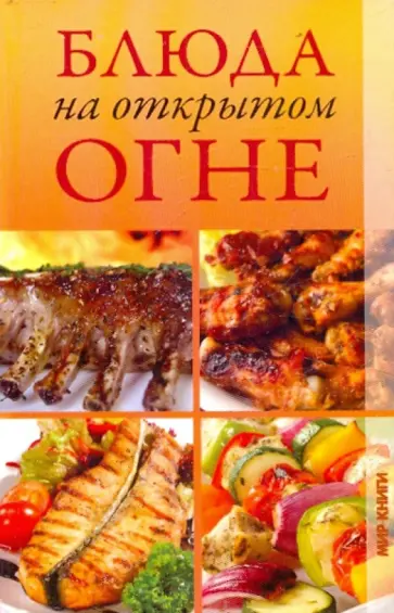 Ирина Румянцева - Блюда на открытом огне Ирина Румянцева - Блюда на открытом огне обложка книги
