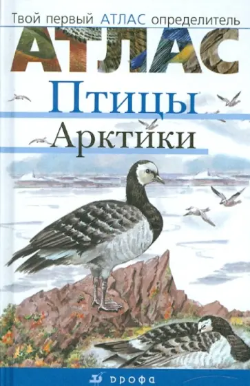 Сивоглазов, Овсянникова - Птицы Арктики обложка книги